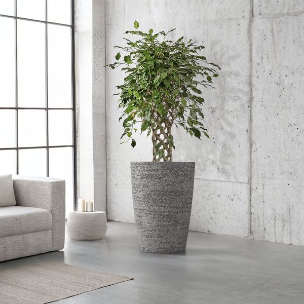 A minimal living space with clean lines and plants